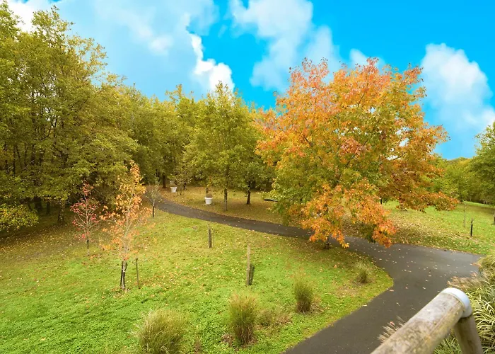 Loft Ovebas - Domaine De L 'o